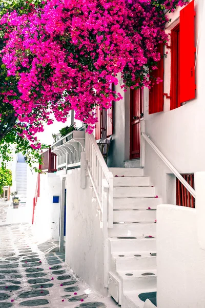 Charming Typical Floral Streets Greek Islands Mykonos Cyclades Popular Summer — Stock Photo, Image