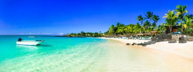 Turkuaz denizi olan tropik kumlu plajlar. Mauritius adası tatili