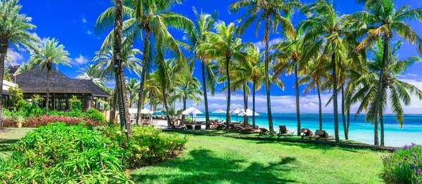 Trópusi Paradicsomi Strand Fehér Homokkal Pálmafákkal Luxus Üdülőhelyek Belle Mare — Stock Fotó