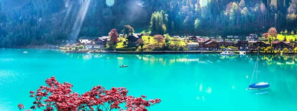 Fantastisk Idylisk Natur Landskap Fjällsjö Brienz Schweiz Kantonen Bern Iseltwald — Stockfoto