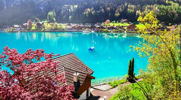 Fantastisk Idylisk Natur Landskap Fjällsjö Brienz Schweiz Kantonen Bern Iseltwald — Stockfoto