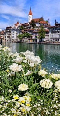 İsviçre 'de seyahat. Güzel kasaba Thun. Thun Gölü, Bern Kantonu