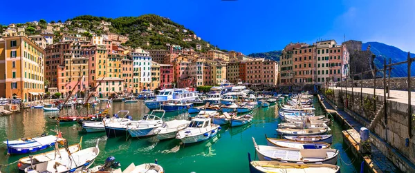 Camogli Krásné Barevné Město Ligurii Panorama Tradičními Rybářskými Loďmi Populární — Stock fotografie