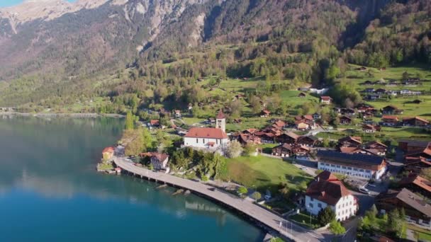 Prachtige Idyllische Natuur Van Het Brienzermeer Met Turquoise Wateren Zwitserland — Stockvideo