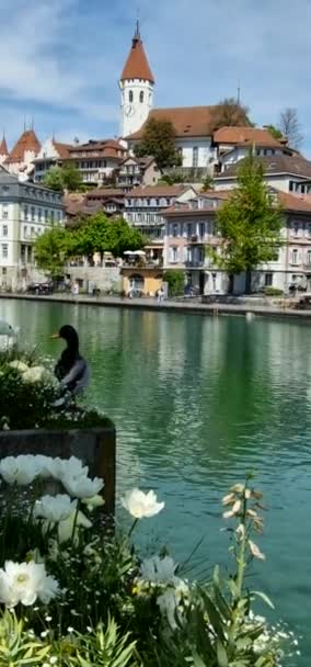 Prachtig Thun Meer Oude Stad Zwitserland Reizen Prachtige Plaatsen — Stockvideo