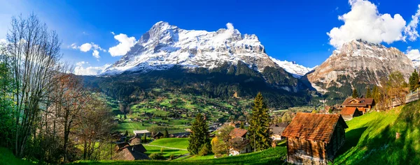 Zwitserland Natuur Reizen Alpenlandschap Landelijk Traditioneel Bergdorpje Grindelwald Omgeven Door — Stockfoto
