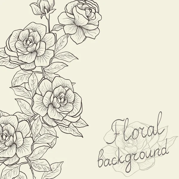 Cadre vintage de roses, avec espace vide pour message texte. Ve — Image vectorielle