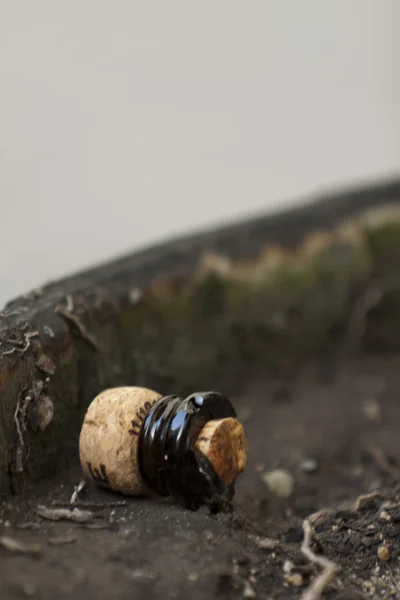 Champagne cork — Stockfoto