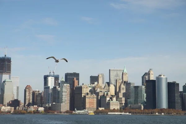 Gaivota e manhattan sul — Fotografia de Stock