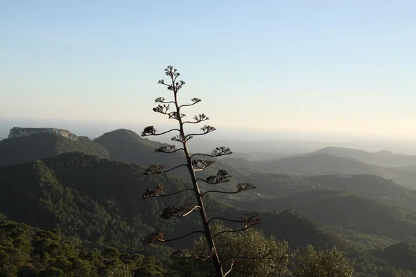 Bella valle — Foto Stock