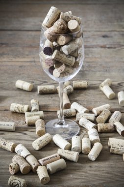 Vintage mantar ve cam