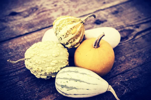 Citrouilles dans le panier — Photo