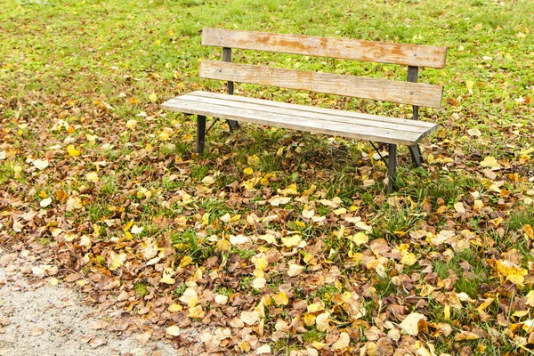 Bank im Park — Stockfoto