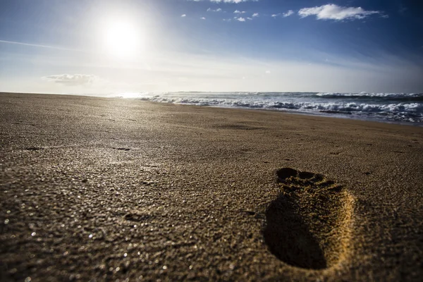 Beautiful beach — Stock Photo, Image