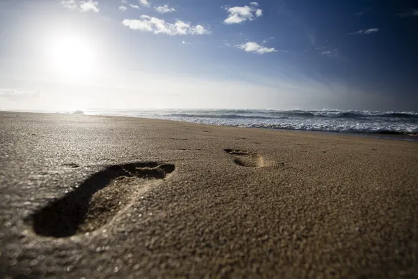 Beautiful beach — Stock Photo, Image