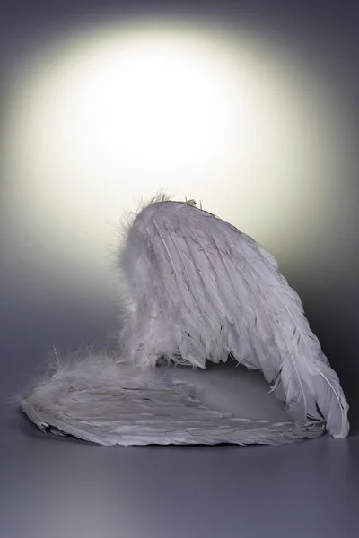 Angel's wings on white background with glow — Stock Photo, Image