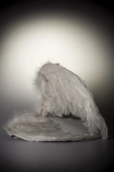 Ангельські крила на білому тлі з сяйвом — стокове фото