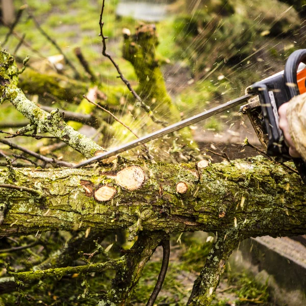 Man sawing a log in his back yard — Stock Photo, Image