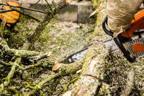 Hombre aserrando un tronco en su patio trasero — Foto de Stock