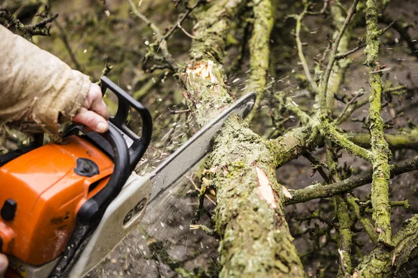 Un homme sciant une bûche dans son jardin — Photo