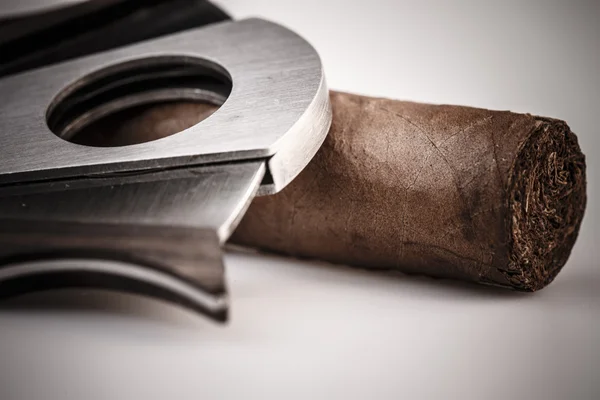 Cigar and cutter on a white background — Stock Photo, Image