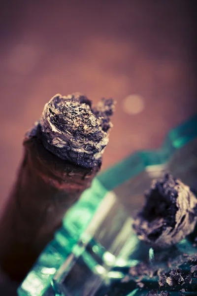 Expensive hand-rolled cigar on a while background — Stock Photo, Image