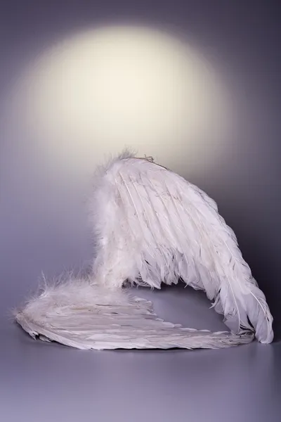 Angel's wings on white background with glow — Stock Photo, Image