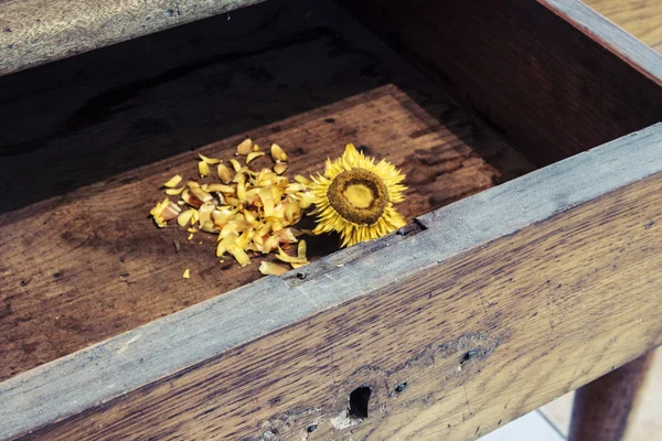 Vecchio girasole su sfondo di legno — Foto Stock