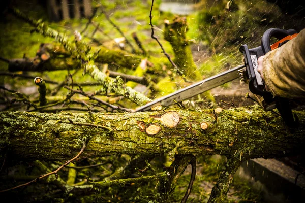 Mann sägt Baumstamm in seinem Hinterhof — Stockfoto