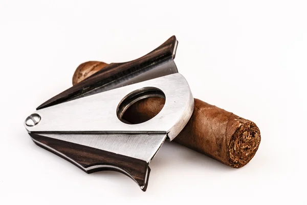 Cigar and cutter on a white background — Stock Photo, Image