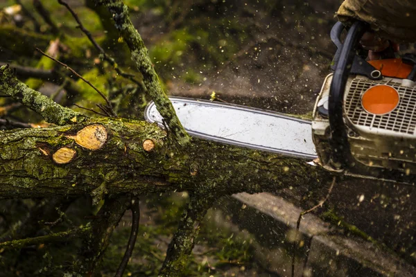 Man sawing a log in his back yard — Stock Photo, Image