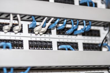 sunucu panel kablolar ve konektörler ile