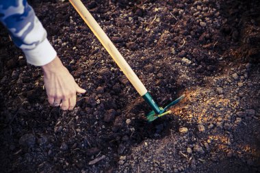 kadın el tohum Ekim