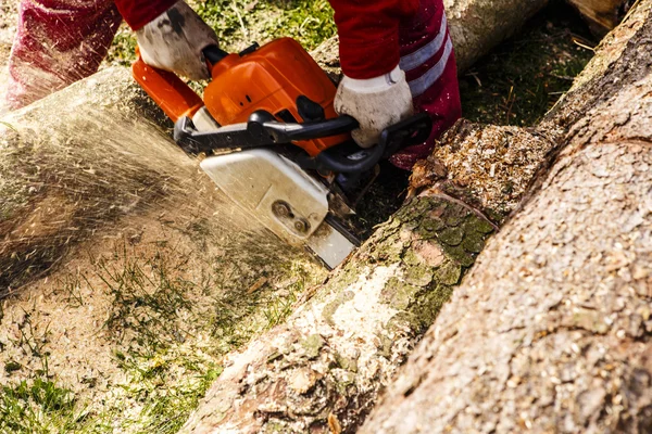 Man sawing a log in his back yard — Stock Photo, Image