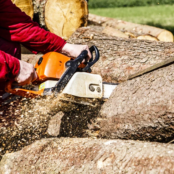 Homem a serrar um tronco no quintal — Fotografia de Stock