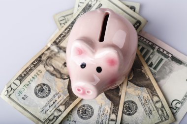 domuz banka dolarlık banknotlar üzerinde