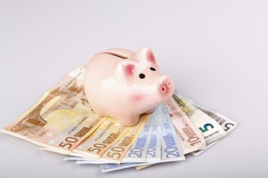 domuz banka euro banknot üzerinde