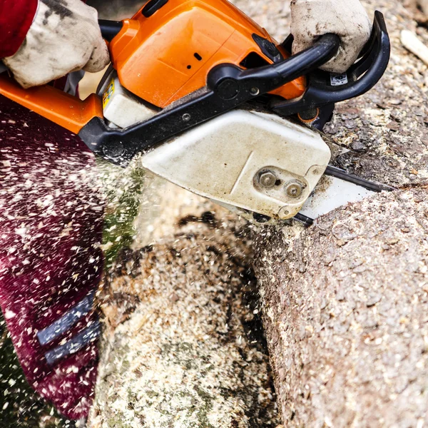 Man zagen een logboek in zijn achtertuin — Stockfoto