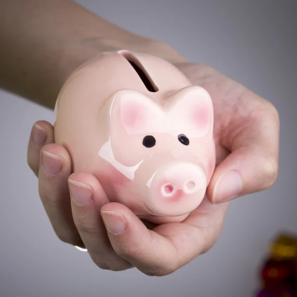 Pig money box in woman hand — Stock Photo, Image