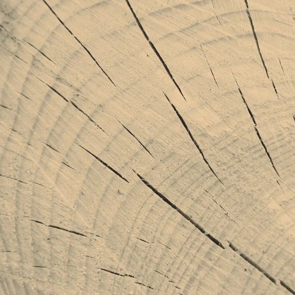 Textura de madera — Foto de Stock