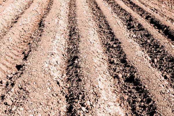 Das gepflügte Feld für die Ernte vorbereitet — Stockfoto