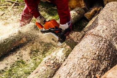 adam onun arka bahçesinde bir günlük kesme tezgahlar