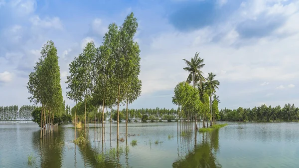 Scenic View Traditional Flooded Fields Still Lake Floating Season Rural — Stock Photo, Image