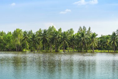 Tayland 'ın kırsal kesimlerinde sakin bir göl gibi geleneksel sel baskınları manzarası. Yağmur mevsiminde doğa manzarası ve tarımda fırtına hasarı. Ağır sel suyu kavramı.
