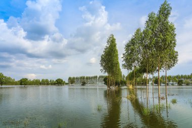 Tayland 'ın kırsal kesimlerinde sakin bir göl gibi geleneksel sel baskınları manzarası. Yağmur mevsiminde doğa manzarası ve tarımda fırtına hasarı. Ağır sel suyu kavramı.
