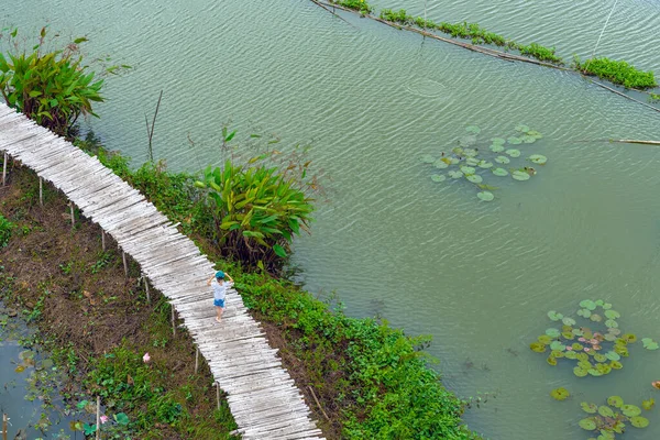 Vista Superior Los Turistas Asiáticos Disfrutan Caminando Puente Bambú Sobre — Foto de Stock