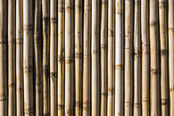 Parede Simples Bambu Tom Marrom Antigo Fundo Textura Cerca Bambu — Fotografia de Stock