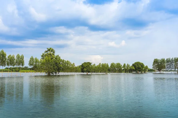 Scenic View Traditional Flooded Fields Still Lake Floating Season Rural — Stock Photo, Image