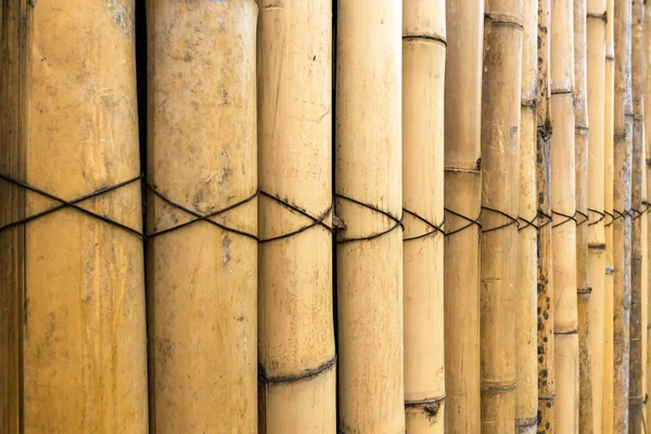 Parede Simples Bambu Tom Marrom Antigo Fundo Textura Cerca Bambu — Fotografia de Stock