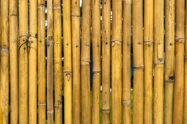 Parede Simples Bambu Tom Marrom Antigo Fundo Textura Cerca Bambu — Fotografia de Stock